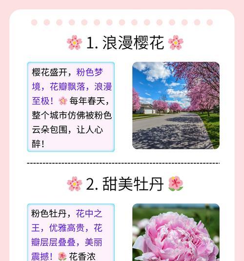 日本国花樱花的花语有何寓意？