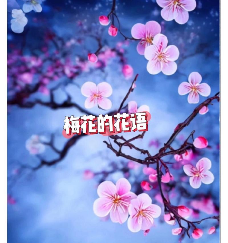梅花的寓意和花语是什么？