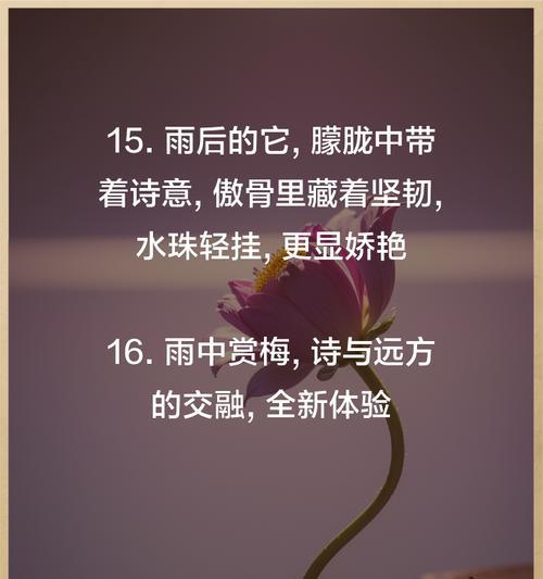 梅花花语的唯美句子有哪些？