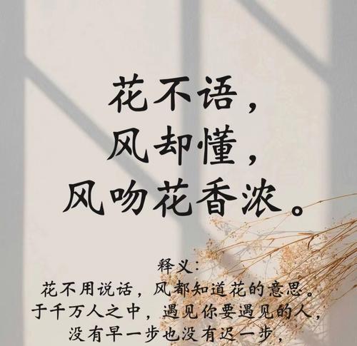 哪种花的花语代表守候？