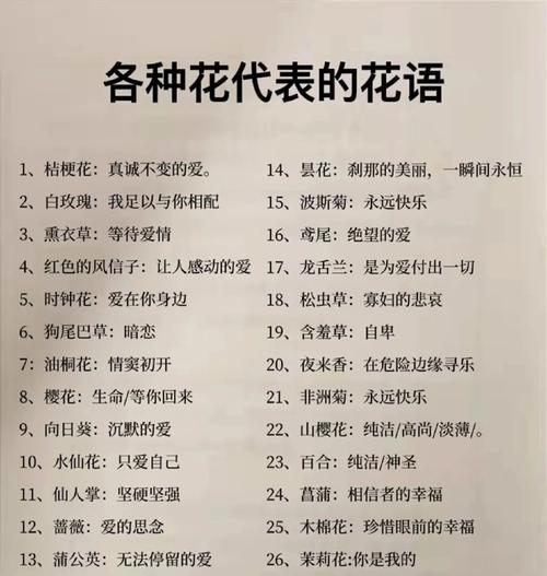 哪种花的花语代表守候？
