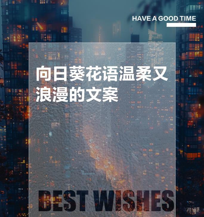 太阳花的花语有哪些含义？