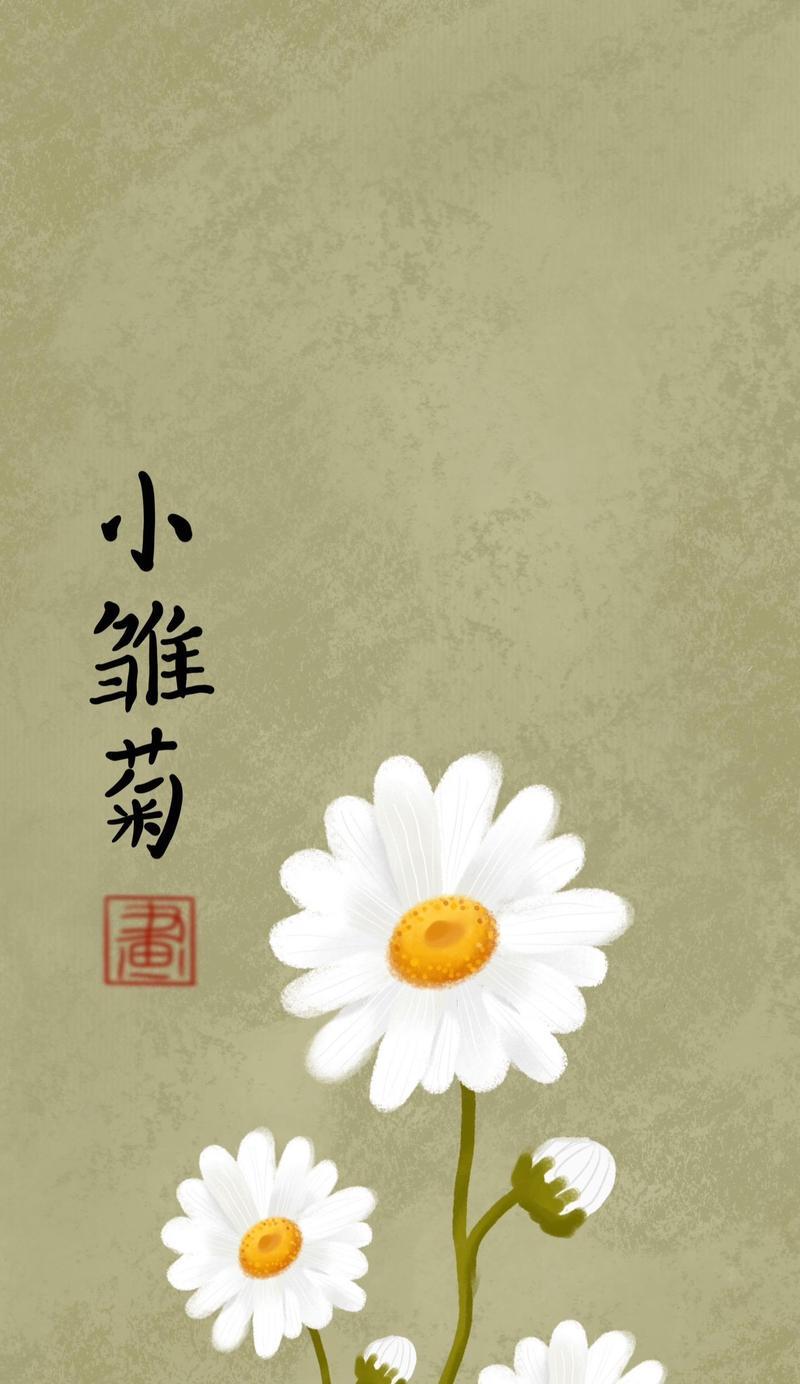 黄色雏菊花的花语是什么意思？
