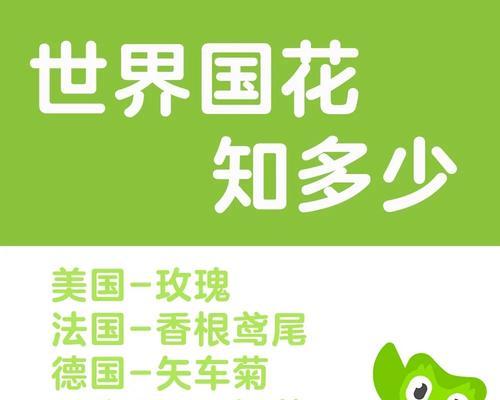 德国的国花是什么？它的花语有何含义？