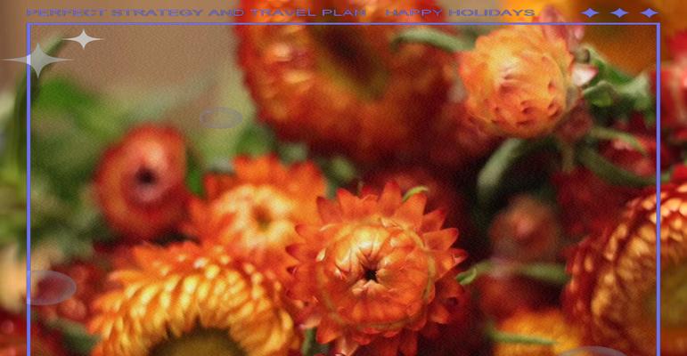 麦杆菊花语和寓意是什么？它象征着什么？