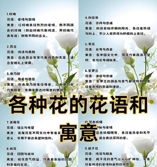 白玫瑰品种及花语是什么？它象征着什么含义？