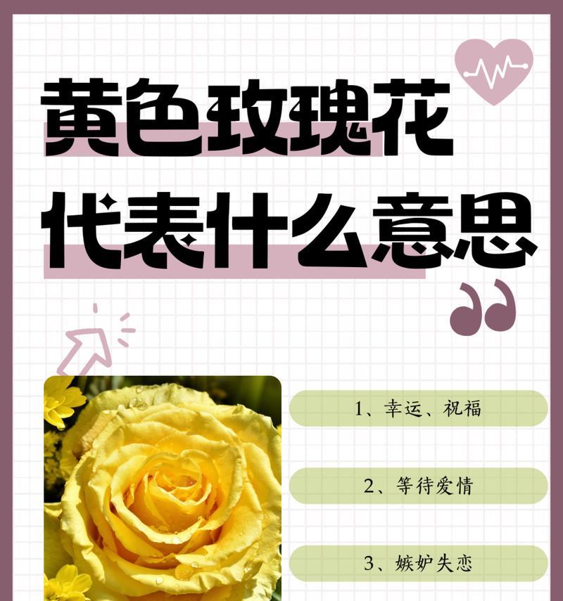 泰国14玫瑰花语是什么？它象征着什么含义？