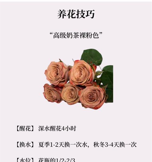送花给朋友应该选择哪种花语？
