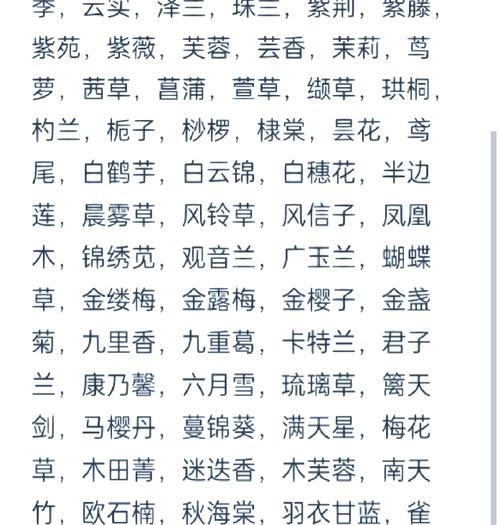 花卉大全中各种花语的含义是什么？