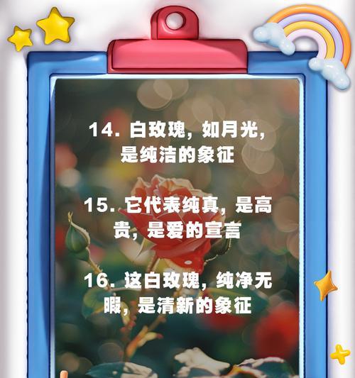 白玫瑰的花语有哪些特别之处？