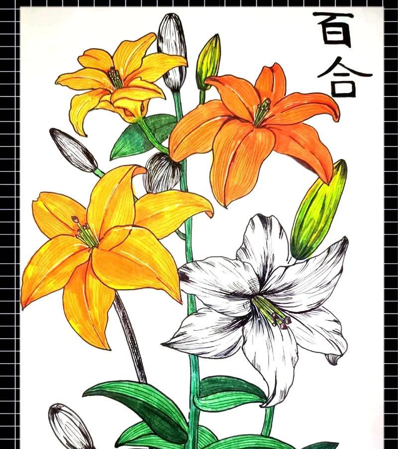 哪种花语代表生命的含义？