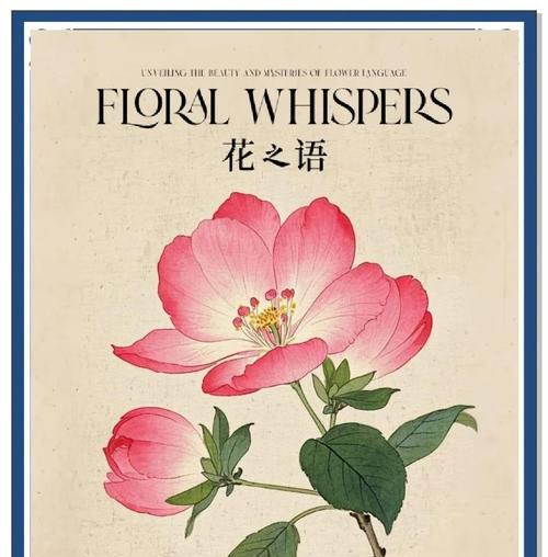 雪花人树的花语有何特别之处？