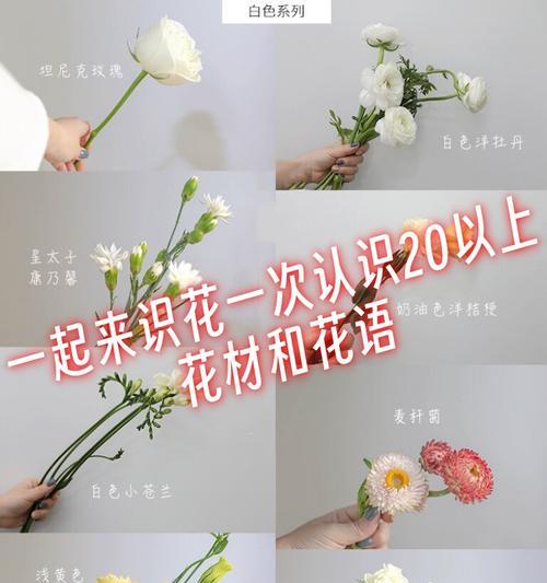 雪花人树的花语有何特别之处？