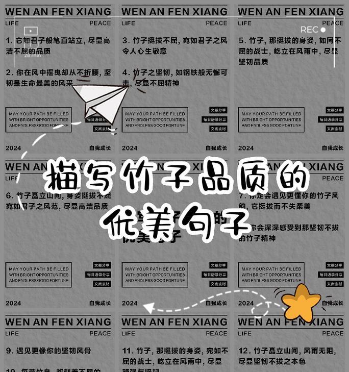 竹子的品质与花语有何联系？