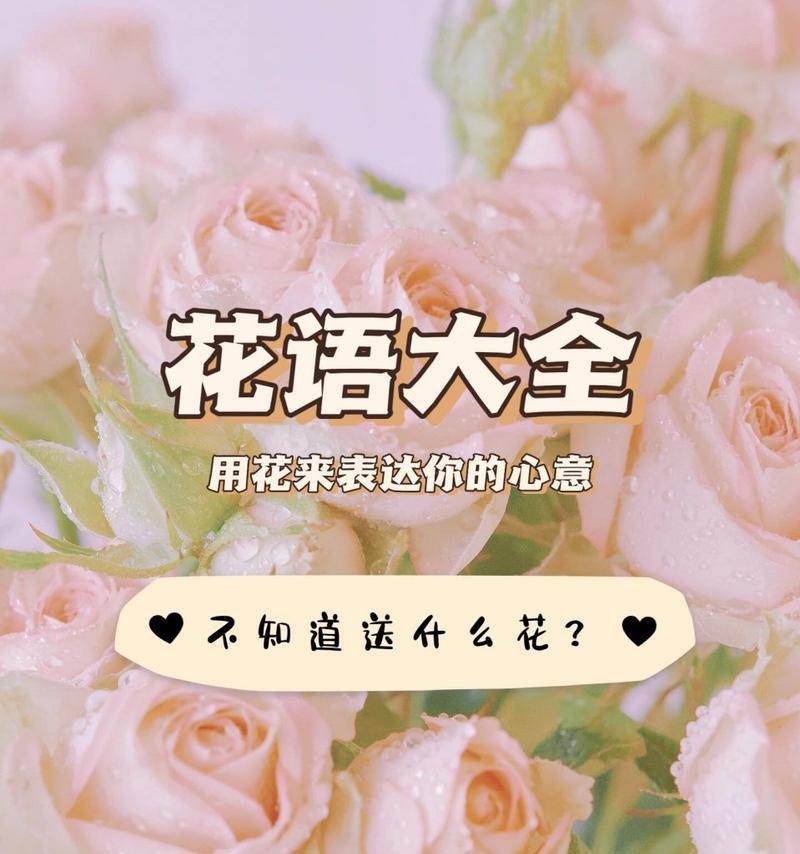 花语的寓意和意义通常是什么？