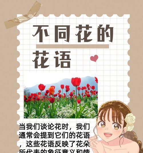 花语的寓意和意义通常是什么？