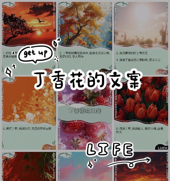 丁香花的花语及其深层含义是什么？