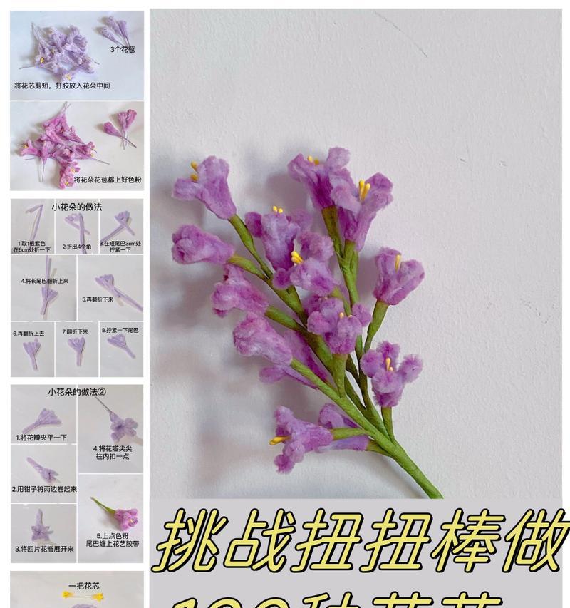 花苞的花语通常有哪些？