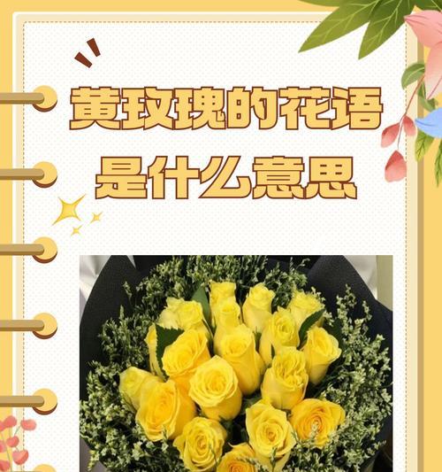花苞的花语通常有哪些？
