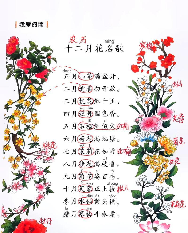 5月12日的花语是什么？5月12日适合送什么花？