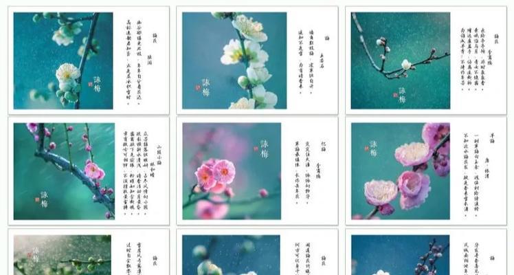 梅花的花语是什么？梅花代表了哪些寓意？