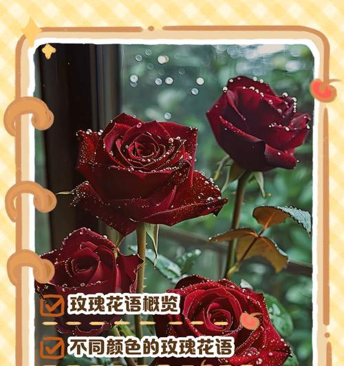 友情的花语有哪些？如何通过花语表达友情？