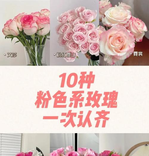 粉玫瑰代表初恋吗？粉玫瑰的花语是什么？