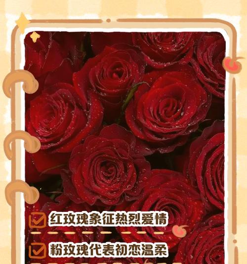 粉玫瑰代表初恋吗？粉玫瑰的花语是什么？