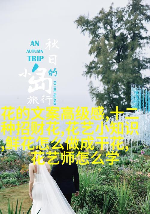 花语在不同文化中有何差异？花语在各种文化中的意义是什么？