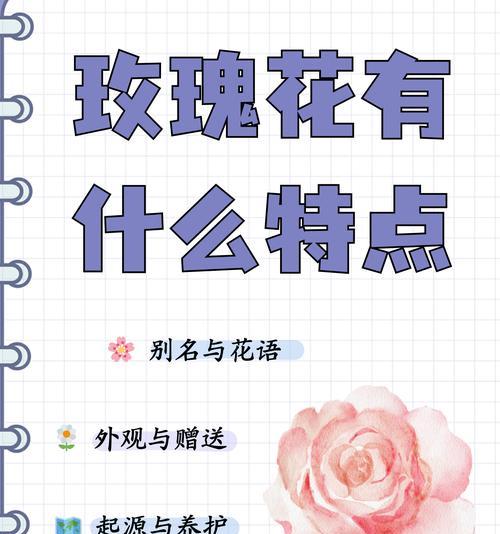 花语在不同文化中有何差异？花语在各种文化中的意义是什么？