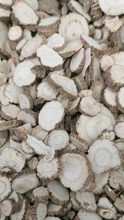 白芷的花语有哪些？白芷象征着什么？