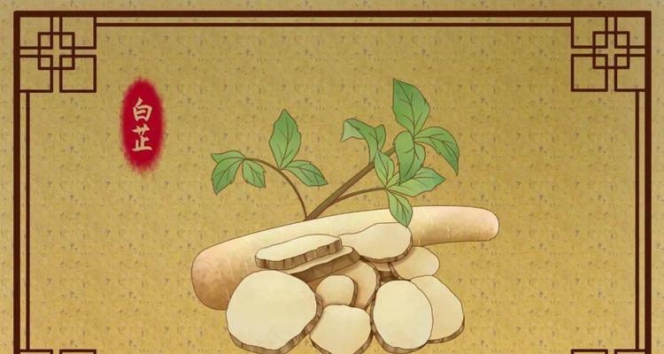 白芷的花语有哪些？白芷象征着什么？