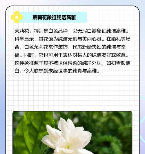 花语大全有哪些？如何理解各种花的寓意？