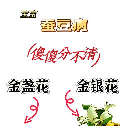 金盏花的别名是什么？金盏花的花语有何寓意？