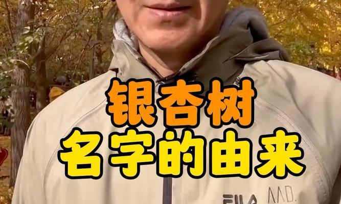 银杏的花语是什么？银杏有哪些传说故事？