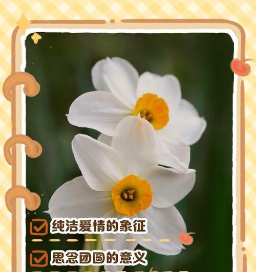 水仙的形状是什么样的？水仙的花语有何含义？