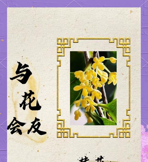 桂花的诗句有哪些？花语代表了什么意义？
