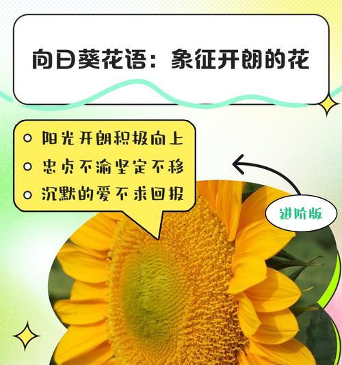 花语通常表达什么意思？如何理解花语的深层含义？