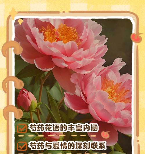 花语通常表达什么意思？如何理解花语的深层含义？