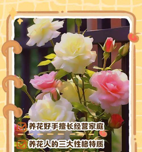 如何正确养好各种花卉？