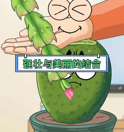仙人掌嫁接的步骤和技巧有哪些？