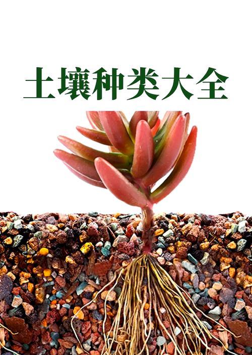 盆景植物适合哪种土壤？盆景土壤的选择与配制方法？
