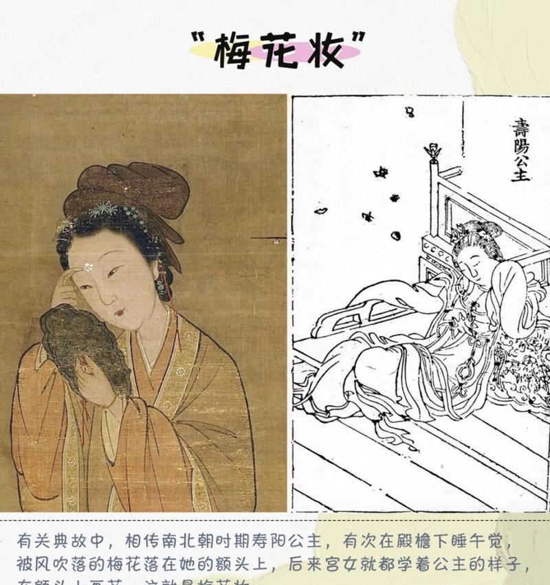梅花有哪些品种？如何区分不同品种的梅花？