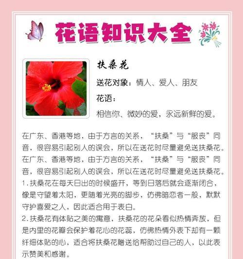 扶桑繁殖方法是什么？如何确保扶桑繁殖成功？