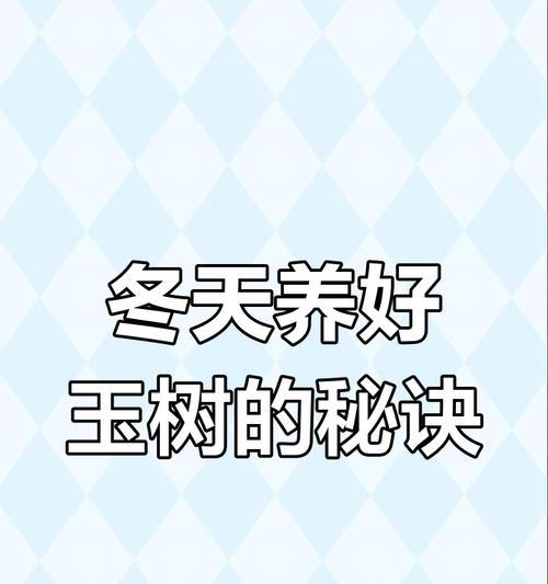 玉树冬季的养护技巧有哪些？
