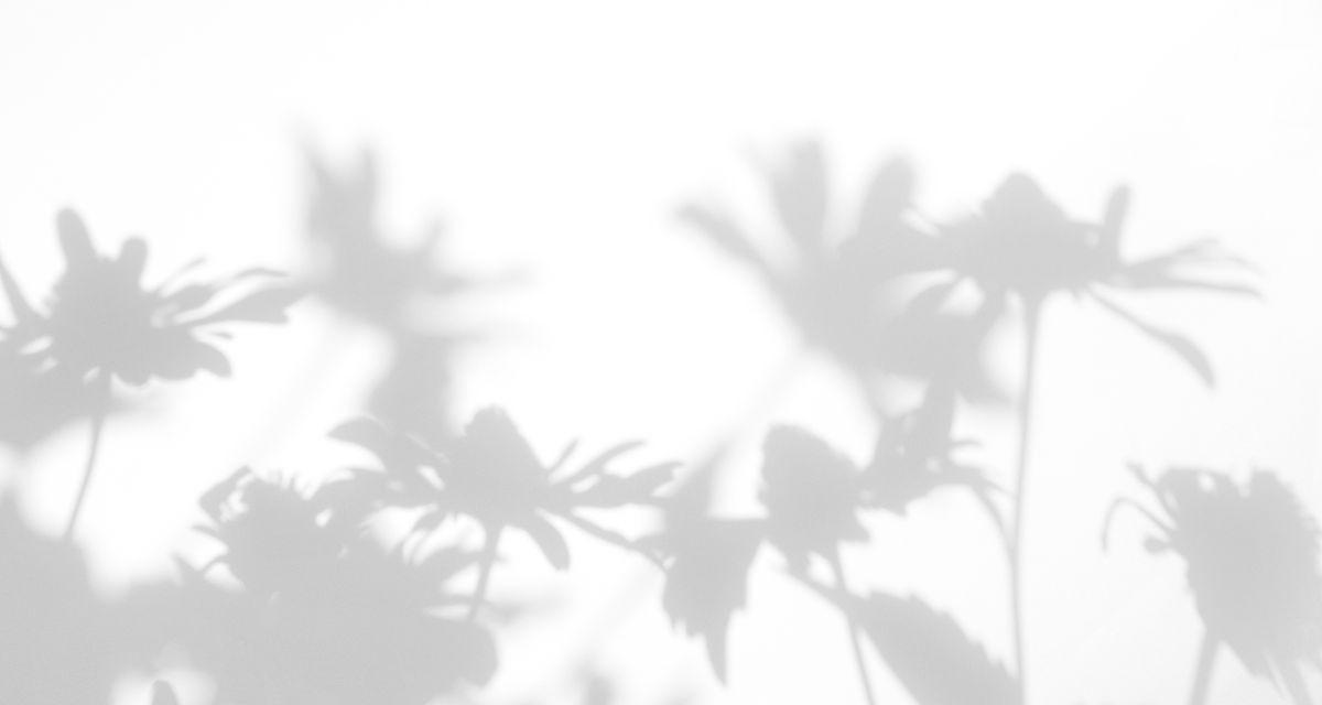 灰色的花有哪些品种？它们的花语和特点是什么？