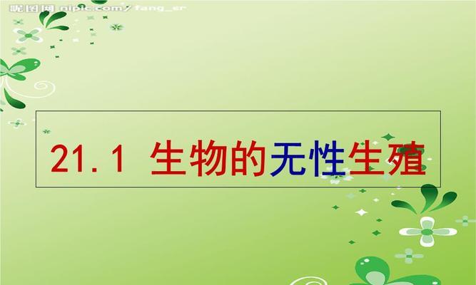 榆树的繁殖技巧是什么？如何进行有效的无性繁殖？
