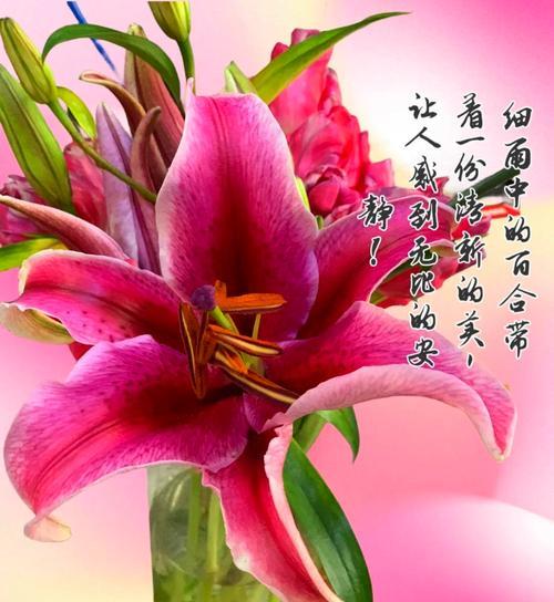 蟛蜞繁殖的条件和步骤是什么？