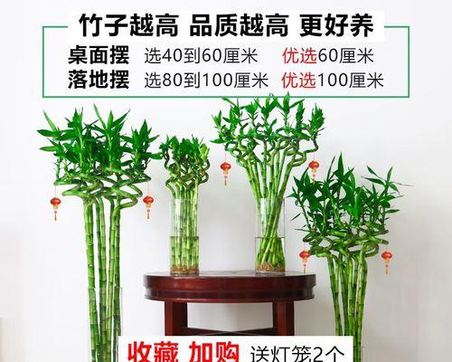 如何弯竹片？竹片弯曲的技巧和注意事项是什么？