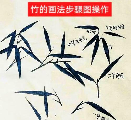如何弯竹片？竹片弯曲的技巧和注意事项是什么？